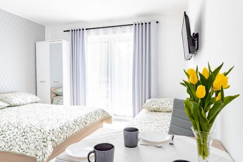 Swornegacie House | Sosnowe Zacisze - Pokoje Gościnne Blisko Jeziora