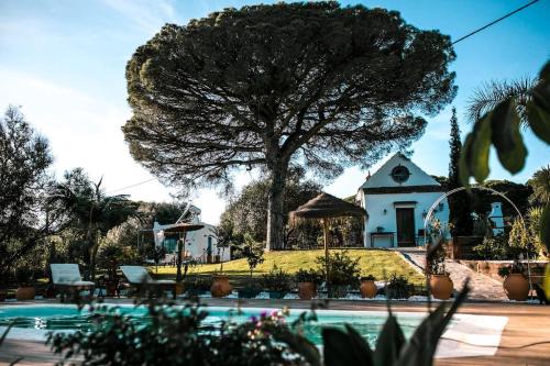 San Ambrosio House | Soul Casas