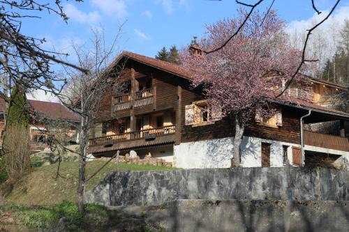 Les Villards-sur-Thones Ski Chalet | Sous les Ecotagnes