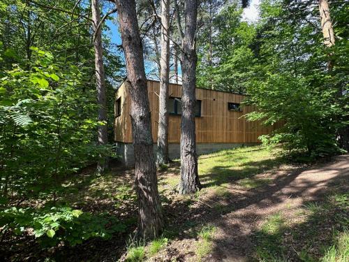 Labaroche Cabin | Sous Les Pins