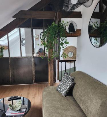 Blois Apartment | Sous les toits de Triboulet