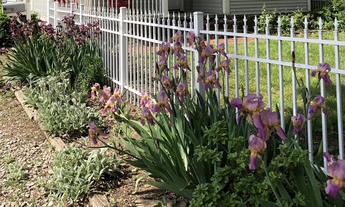 Springfield House | Southern Charmer near downtown