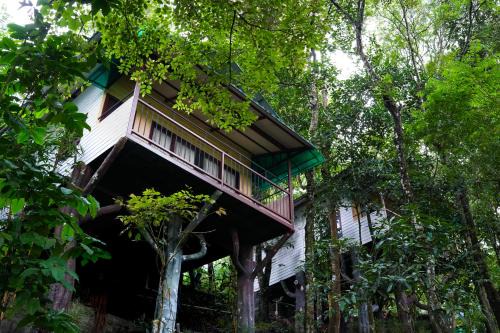 Kalpetta Resort | Space Rock Resort