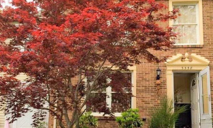 Fairfax House | Spacious 3 Bedrooms Townhome Near GMU-VRE-D.C