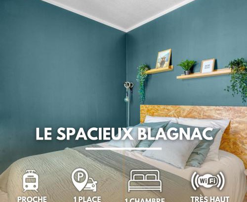 Blagnac Apartment | Spacious Apartment Blagnac Parking-Tram-Airport