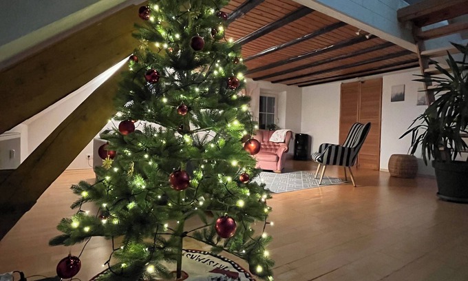 Saarburg Apartment | Spacious apartment over 2 floors in a central location with castle view, wallbox