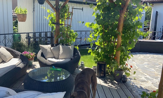 Prevessin-Moens Villa | Spacious beautiful house with pool just outside Geneva