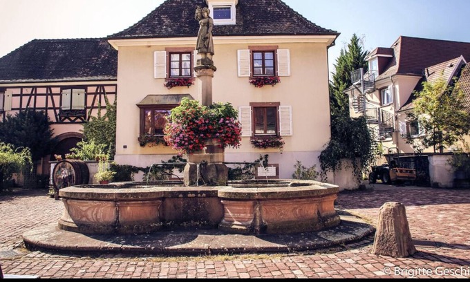 Ammerschwihr Apartment | Spacious cottage up to 12 people