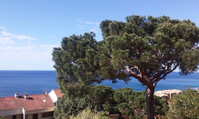 Ajaccio Apartment | Spacious F1 road of the Sanguinaires Islands large terrace sea view near beaches