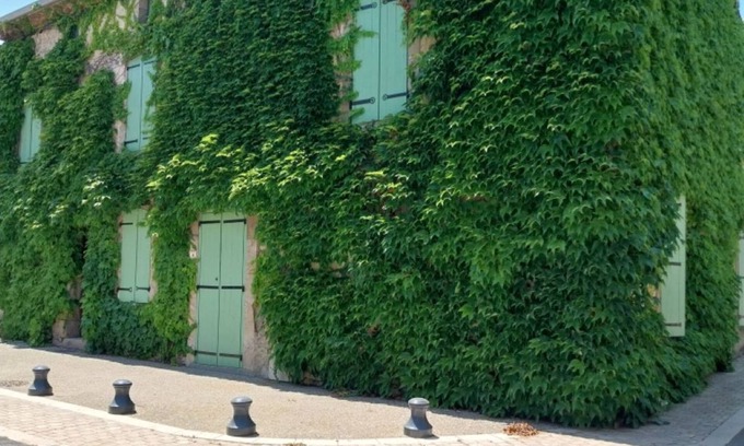 Aigne House | Spacious house with courtyard in the village centre