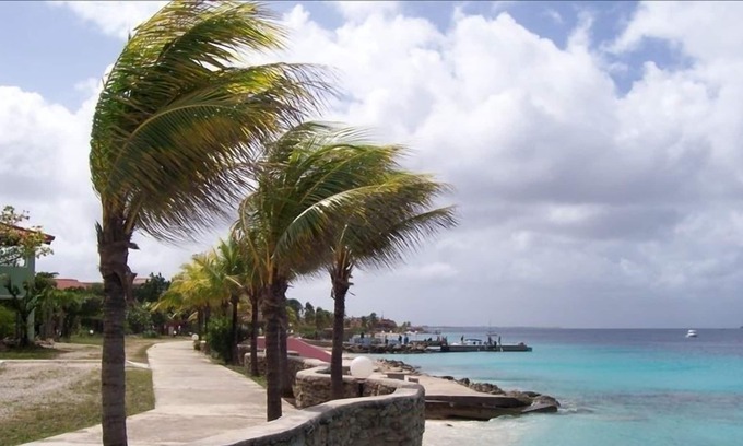 Kralendijk Condo | Spacious Oceanfront Studio Condo A3 at Sand Dollar Condominiums