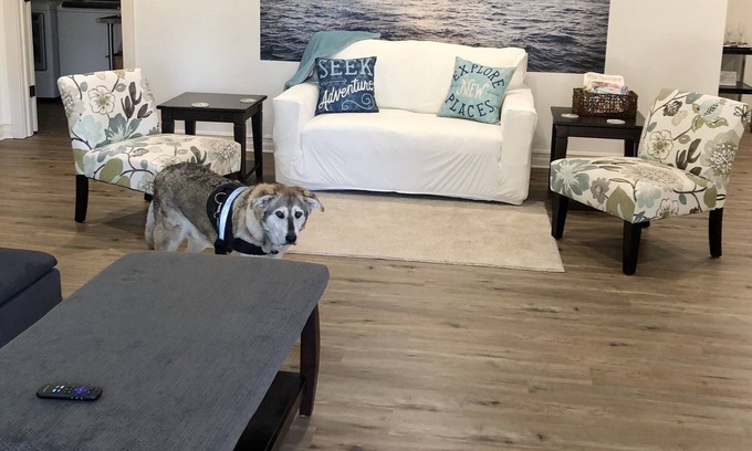 Anacortes House | Spacious, one level pet-friendly gem with fenced yard, 5 minutes from the ferry!