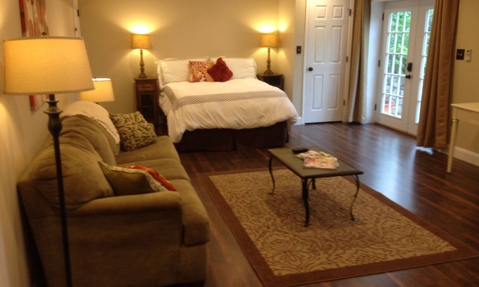 Forest Apartment | Spacious/Private Basement Studio