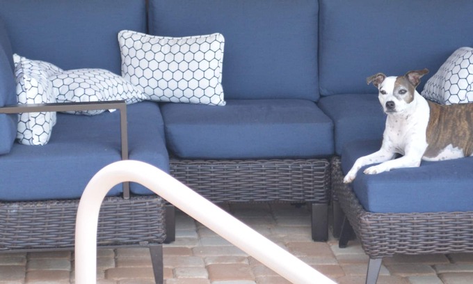 Pelican House | Spacious, remodeled, perfect for two family gatherings,