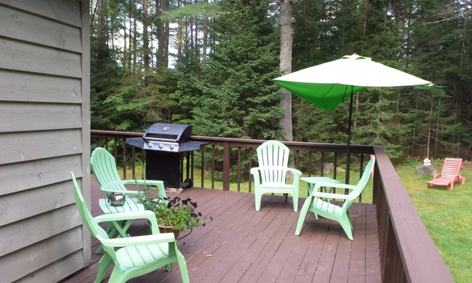 Lake Placid House | Spacious Three Bedroom, Two Bath Home. Animals Welcomed. In Lake Placid.