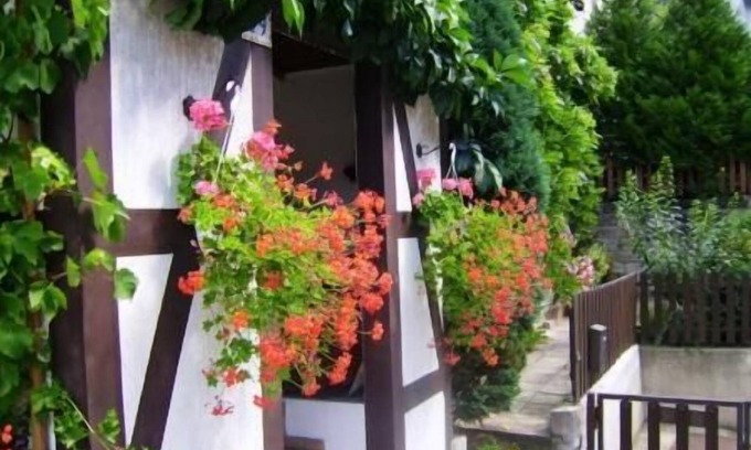 Loschwitz Apartment | Spacious vacation apartment (47 m2) for 1-3 people