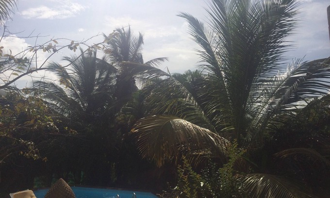 Ducos Apartment | Spacious villa downstairs in mature garden with swimming pool surrounded by greenery