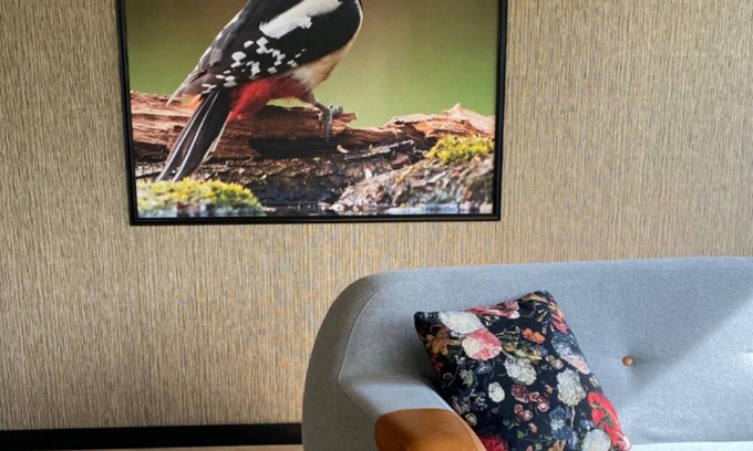 Rekem House | Specht-huisje - dog-friendly vacation home in Hoge Kempen near Maastricht