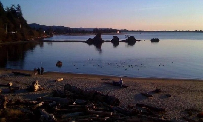 Lincoln City Condo | Spectacular 180' View, Beach Front Condo Great Kids Beach!