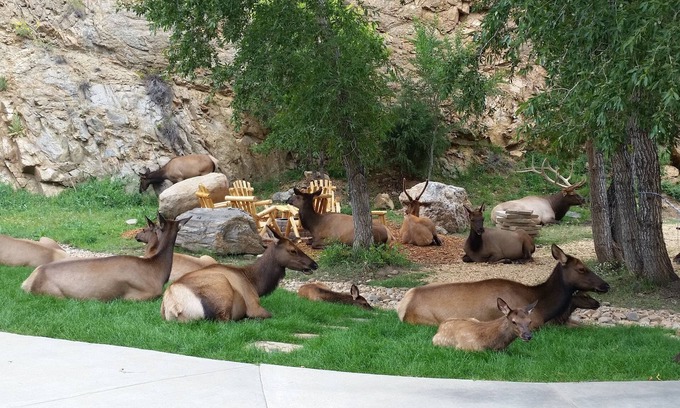 Estes Park House | Spectacular mountain view. 5-minute walk to Estes Park shopping & dining.