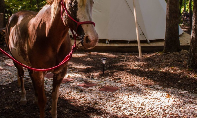 Lynchburg Cabin | Spirit Lodge ~ Upscale Camping in Authentic Tipi