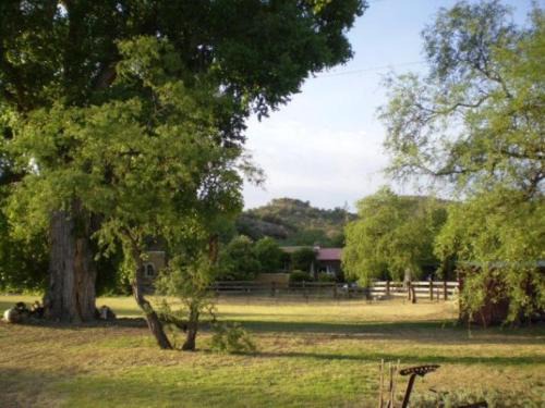Patagonia Bed & Breakfast | Spirit Tree Inn B&B