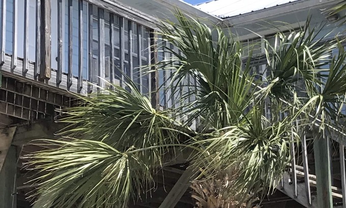 Perry Hotel | Spring Warrior Fish Camp #2 Located on the Gulf of Mexico