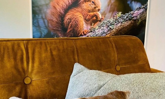 Rekem House | Squirrel Cottage – cosy holiday home in Hoge Kempen near Maastricht