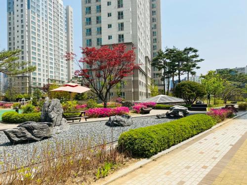 Goyang Apartment | st ar house
