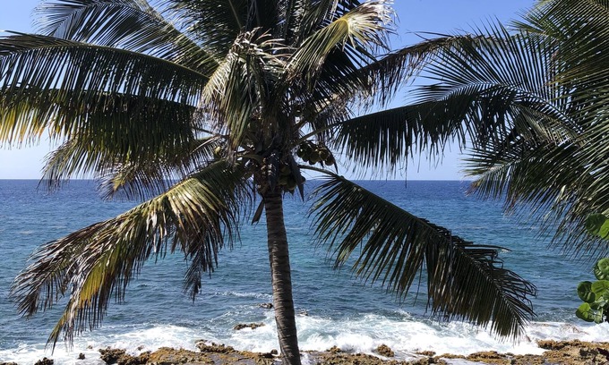 Cane Bay Cottage | St.Croix, USVI- Cane Bay Beach -direct waterfront Cottage!