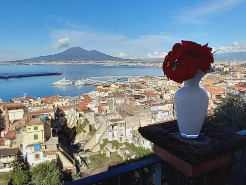 Castellammare di Stabia Hostel | Stabia GulfView
