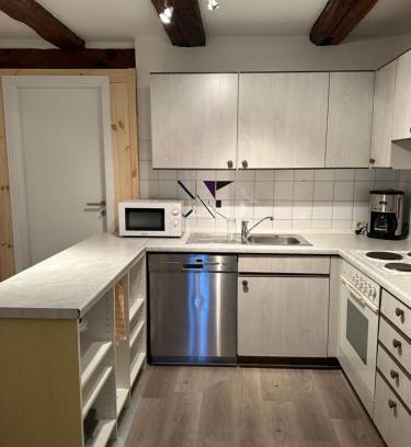 Balingen Apartment | Stadtwohnung im Zentrum Balingen