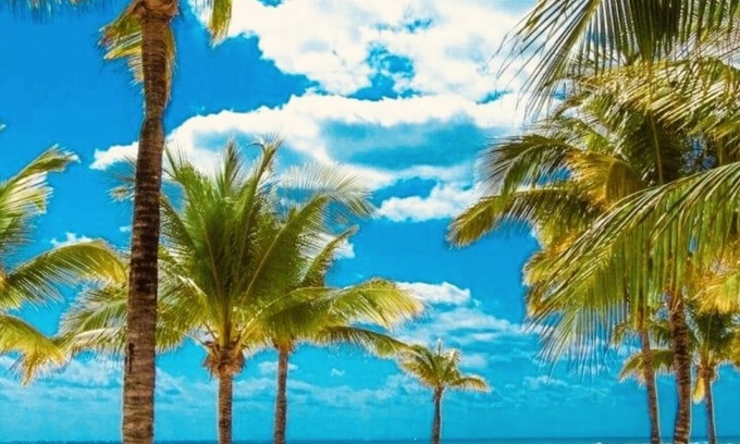 Bavaro Condo | Stanza Mare Beach Front 1 Bed 2 Bth Private Pool & Beach WiFi Monthly Specials