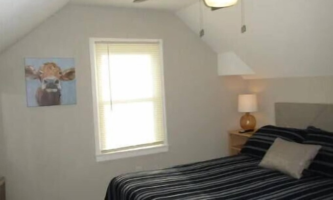 Owatonna House | "Stars and Stripes" on Glendale
