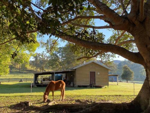 Kenilworth House | Stay at the Barn. Immerse yourself in nature.