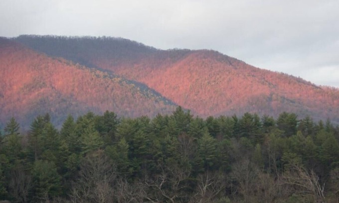 Pigeon Forge Condo | Stay near Titanic & shows in Pigeon Forge