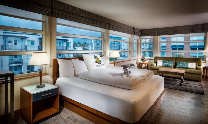 University District Hotel | Staypineapple, Watertown Hotel, University District Seattle