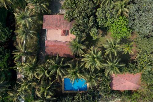 Alibaug Villa | StayVista at Shades of Nature - The Hidden gem