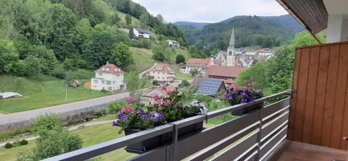 Bad Peterstal-Griesbach Apartment | Steepleview House, Renchtalblick Apartment - cozy & serene apartment for 2