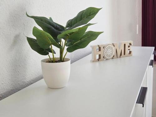 Plauen Apartment | Stilvolle Ferienwohnung am Stadtwald von Plauen