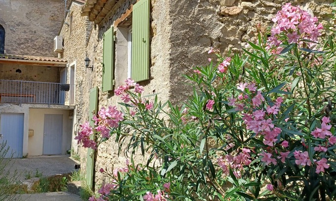 Mollans-sur-Ouveze House | Stone village house