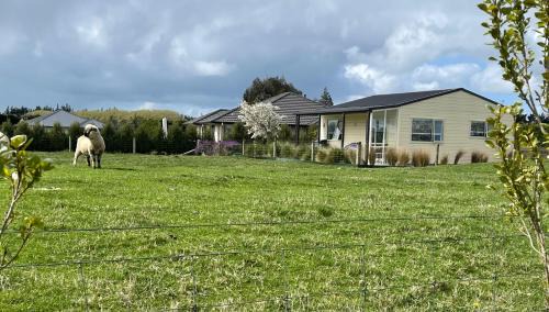 Invercargill Apartment | Stonebyers in the Glen