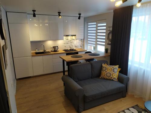 Alytus Apartment | Studija Alytuje