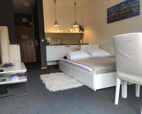 Ptuj Apartment | Studio apartment "Iris"