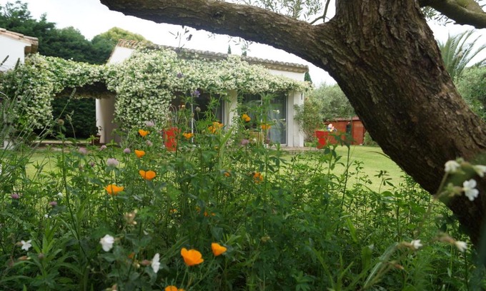 Beauvoisin Bed & Breakfast | Studio au coeur de la petite camargue