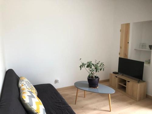 Benejacq Apartment | Studio avec terrasse privative de 20 m carré