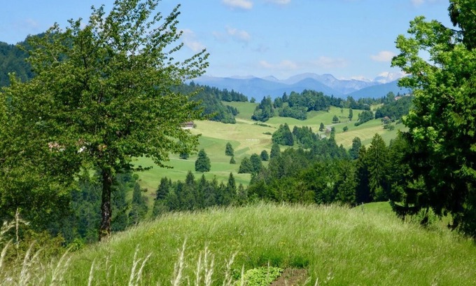 Jacksonville House | Studio Bungalow Home