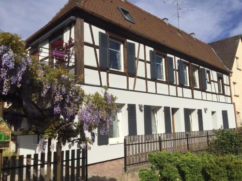 Ingersheim Apartment | Studio côté jardin