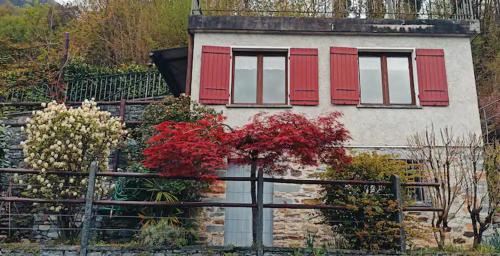 Vira House | Studio Casa Dorothea