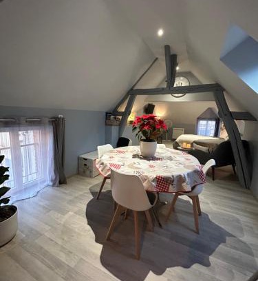 Romorantin-Lanthenay Apartment | Studio centre ville